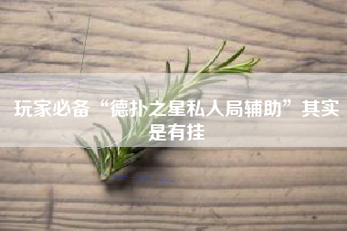 玩家必备“德扑之星私人局辅助”其实是有挂