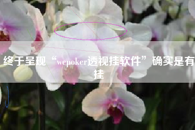 终于呈现“wepoker透视挂软件”确实是有挂