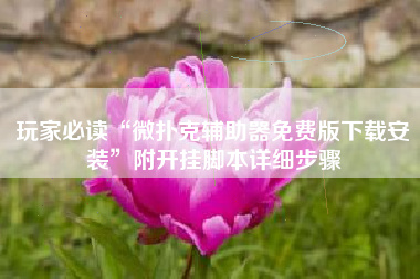 玩家必读“微扑克辅助器免费版下载安装	”附开挂脚本详细步骤