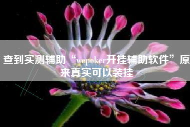 查到实测辅助“wepoker开挂辅助软件	”原来真实可以装挂