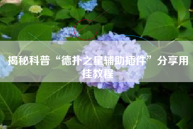 揭秘科普“德扑之星辅助插件	”分享用挂教程