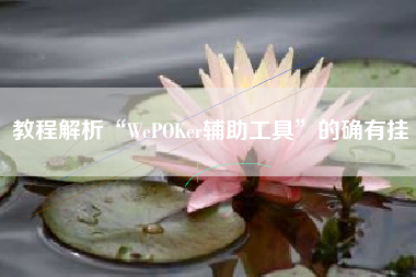 教程解析“WePOKer辅助工具	”的确有挂