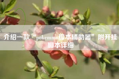 介绍一款“pokemmo脚本辅助器	”附开挂脚本详细