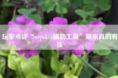 玩家点评“wepoker辅助工具	”原来真的有挂