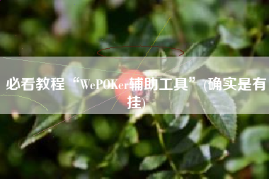 必看教程“WePOKer辅助工具”(确实是有挂)