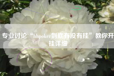 专业讨论“hhpoker到底有没有挂”教你开挂详细