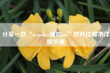 分享一款“wepoker辅助ios	”附开挂脚本详细步骤