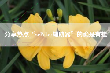 分享热点“wePoker辅助器”的确是有挂