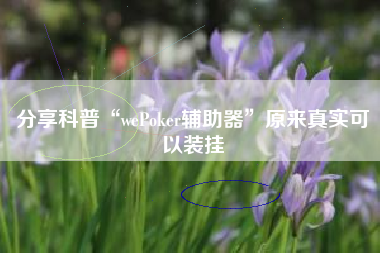 分享科普“wePoker辅助器”原来真实可以装挂