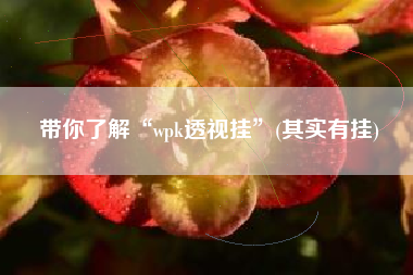 带你了解“wpk透视挂	”(其实有挂)