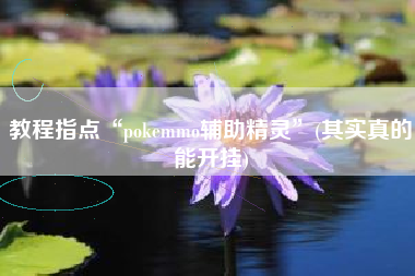 教程指点“pokemmo辅助精灵”(其实真的能开挂)