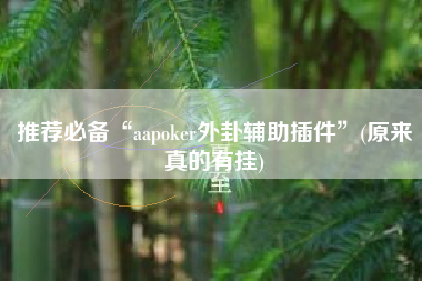 推荐必备“aapoker外卦辅助插件	”(原来真的有挂)