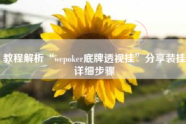 教程解析“wepoker底牌透视挂	”分享装挂详细步骤