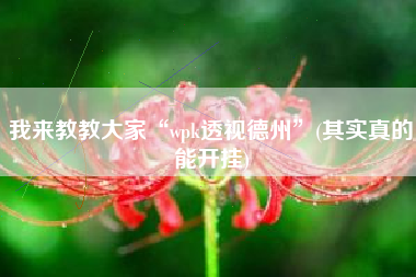 我来教教大家“wpk透视德州”(其实真的能开挂)