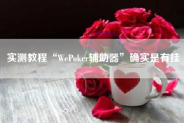 实测教程“WePoker辅助器	”确实是有挂