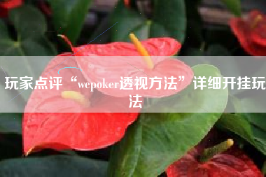 玩家点评“wepoker透视方法”详细开挂玩法