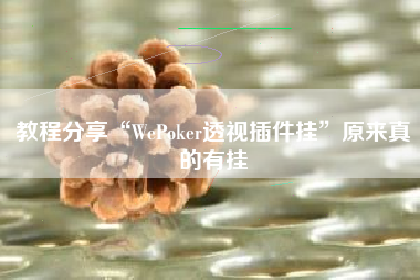 教程分享“WePoker透视插件挂”原来真的有挂