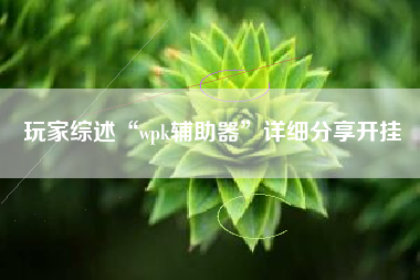玩家综述“wpk辅助器	”详细分享开挂
