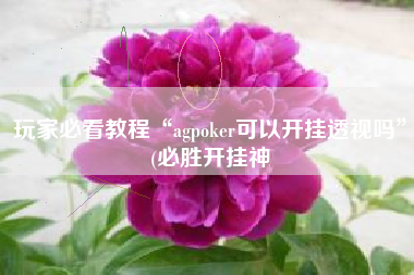 玩家必看教程“agpoker可以开挂透视吗	”(必胜开挂神