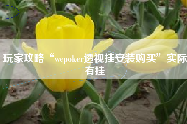 玩家攻略“wepoker透视挂安装购买”实际有挂