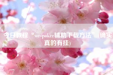 今日教程“we-poker辅助下载方法	”(确实真的有挂)