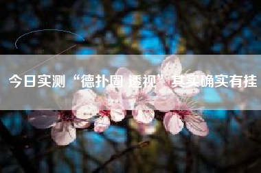 今日实测“德扑圈 透视”其实确实有挂