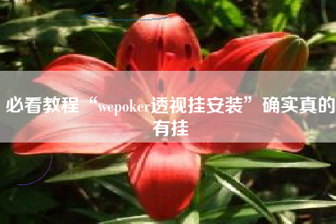 必看教程“wepoker透视挂安装”确实真的有挂