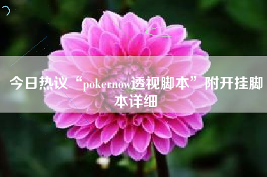今日热议“pokernow透视脚本	”附开挂脚本详细