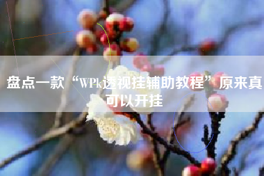 盘点一款“WPk透视挂辅助教程”原来真可以开挂