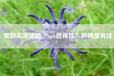 查到实测辅助“wpk透视挂”的确是有挂