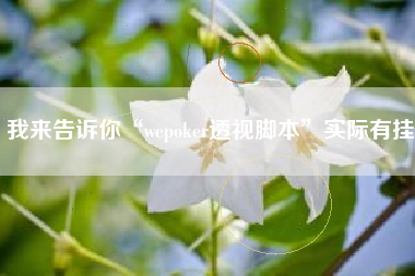 我来告诉你“wepoker透视脚本”实际有挂