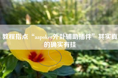 教程指点“aapoker外卦辅助插件”其实真的确实有挂