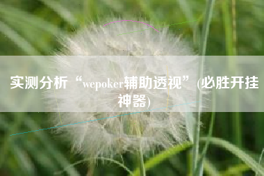 实测分析“wepoker辅助透视”(必胜开挂神器)