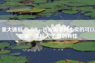 重大通报“wepoker透视脚本网上卖的可以信嘛”太坑人了,真的有挂