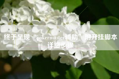 终于呈现“pokermaster辅助”附开挂脚本详细步骤