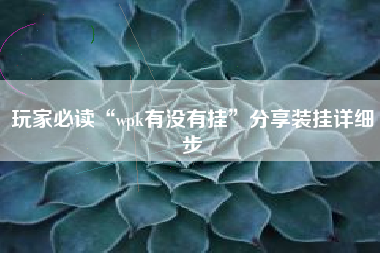 玩家必读“wpk有没有挂”分享装挂详细步