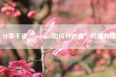 分享干货“wepoker如何开透视”的确有挂