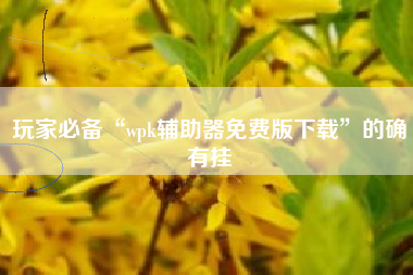 玩家必备“wpk辅助器免费版下载”的确有挂