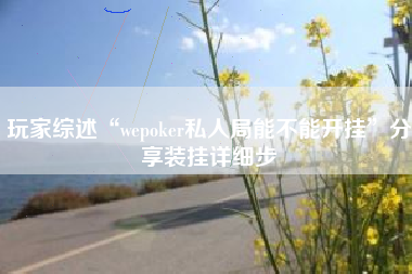 玩家综述“wepoker私人局能不能开挂”分享装挂详细步
