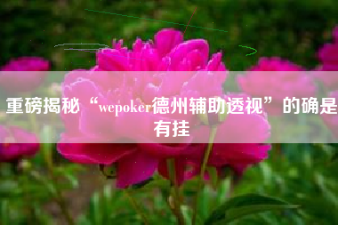 重磅揭秘“wepoker德州辅助透视”的确是有挂