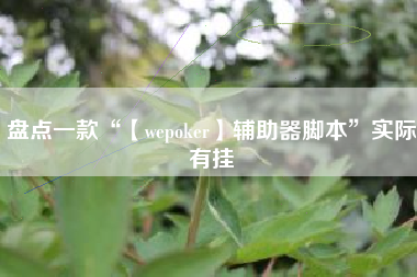盘点一款“【wepoker】辅助器脚本”实际有挂