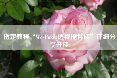 指定教程“We-Poker透视插件挂	”详细分享开挂