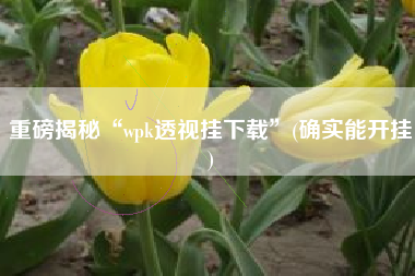 重磅揭秘“wpk透视挂下载	”(确实能开挂)