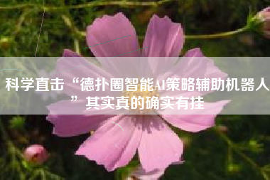 科学直击“德扑圈智能AI策略辅助机器人”其实真的确实有挂