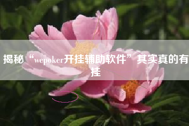 揭秘“wepoker开挂辅助软件”其实真的有挂