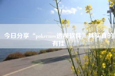 今日分享“pokernow透视软件”其实真的有挂