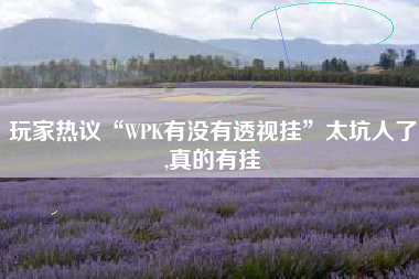 玩家热议“WPK有没有透视挂”太坑人了,真的有挂