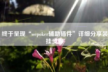 终于呈现“wepoker辅助插件	”详细分享装挂步骤