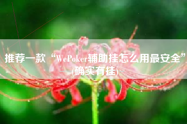 推荐一款“WePoker辅助挂怎么用最安全”(确实有挂)