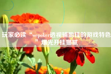 玩家必读“wepoker透视辅助挂的游戏特色”爆光开挂猫腻